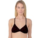 Folding Fan Seamless Pattern Reversible Tri Bikini Top View1