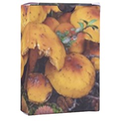 Orange Mushrooms In Patagonia Forest, Ushuaia, Argentina Playing Cards Single Design (rectangle) With Custom Box by dflcprintsclothing