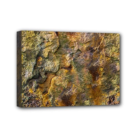 Rusty Orange Abstract Surface Mini Canvas 7  X 5  (stretched) by dflcprintsclothing