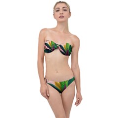 Ai Generated Tropical Leaves Foliage Wallpaper Classic Bandeau Bikini Set by Ravend