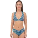 Waves Of The Ocean Ii Double Strap Halter Bikini Set View1