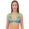 Fluid Artistic Double Strap Halter Bikini Top View1