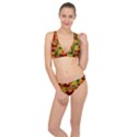 Background Graphic Beautiful Wallpaper Classic Banded Bikini Set  View1