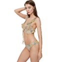 Vintage World Map Physical Geography Low Cut Ruffle Edge Bikini Set View2