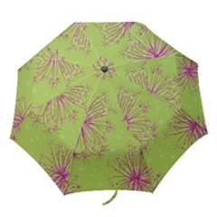 Dandelion Flower Background Nature Flora Drawing Folding Umbrellas by Uceng