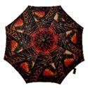Dragon Hook Handle Umbrellas (Medium) View1