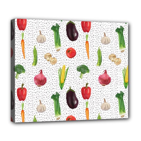 Vegetable Deluxe Canvas 24  X 20  (stretched) by SychEva