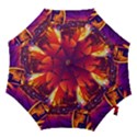 Far-future-human-colonization Hook Handle Umbrellas (Small) View1