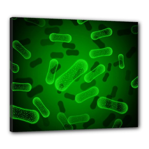 Green-rod-shaped-bacteria Canvas 24  X 20  (stretched) by Salman4z