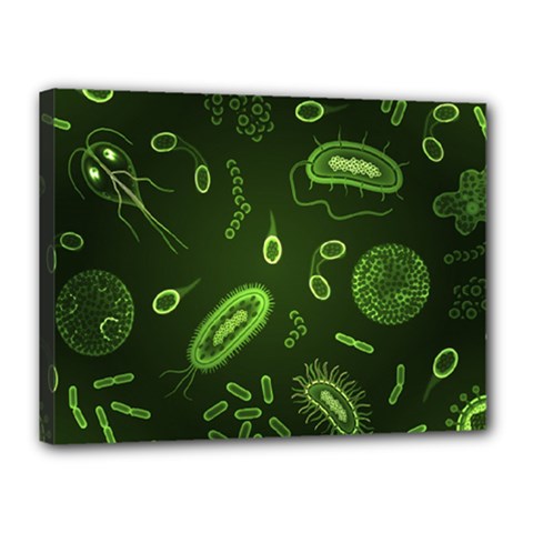 Bacteria-virus-seamless-pattern-inversion Canvas 16  X 12  (stretched) by Salman4z