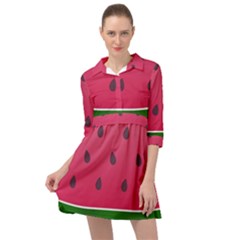 Watermelon Fruit Summer Red Fresh Food Healthy Mini Skater Shirt Dress by pakminggu