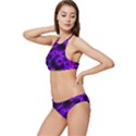 Purple Pattern Background Structure Banded Triangle Bikini Set View2