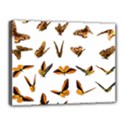 Butterfly Butterflies Insect Swarm Canvas 16  x 12  (Stretched) View1