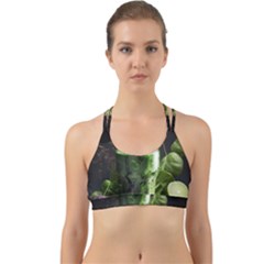 Drink Spinach Smooth Apple Ginger Back Web Sports Bra by Ndabl3x