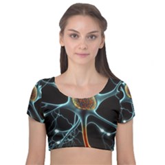 Organism Neon Science Velvet Short Sleeve Crop Top  by Ndabl3x
