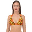 Mazipoodles In The Frame - Orange Double Strap Halter Bikini Top View1