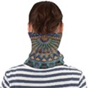 Saint Petersburg  Architecture Face Seamless Bandana (Adult) View2