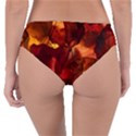 Leaves Fall Autumn Season Orange Reversible Classic Bikini Bottoms View2