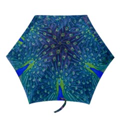 Amazing Peacock Mini Folding Umbrellas by Simbadda