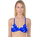 Blooming-seamless-pattern-blue-colors Reversible Tri Bikini Top View3