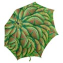 Beautiful-peacock Hook Handle Umbrellas (Medium) View2