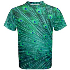 Green And Blue Peafowl Peacock Animal Color Brightly Colored Men s Cotton Tee by uniart180623