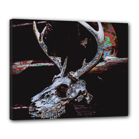 Deer Skull Canvas 20  X 16  (stretched) by MonfreyCavalier