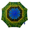 Different Grain Growth Field Hook Handle Umbrellas (Medium) View1
