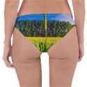 Different Grain Growth Field Reversible Hipster Bikini Bottoms View2