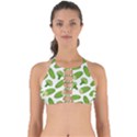Vegetable Pattern With Composition Broccoli Perfectly Cut Out Bikini Top View1