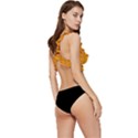 Beer Bubbles Pattern Low Cut Ruffle Edge Bikini Top View3