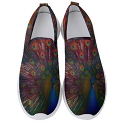 Peacock Feather Bird Men s Slip On Sneakers by Bedest