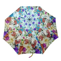 Fish The Ocean World Underwater Fishes Tropical Folding Umbrellas by Ndabl3x