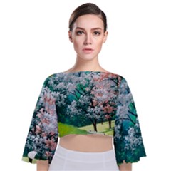 Anime Scenery Landscape Tie Back Butterfly Sleeve Chiffon Top by Sarkoni