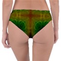 Psychedelic Screen Trippy Reversible Classic Bikini Bottoms View2