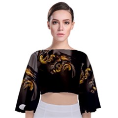 Fractal Mathematics Abstract Tie Back Butterfly Sleeve Chiffon Top by Amaryn4rt