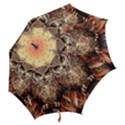 Drawing Olw Bird Hook Handle Umbrellas (Large) View2