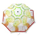 Throughts Construct Does Face Folding Umbrellas View1