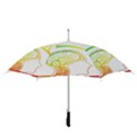 Throughts Construct Does Face Straight Umbrellas View3