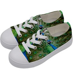 Peafowl Peacock Kids  Low Top Canvas Sneakers by Sarkoni