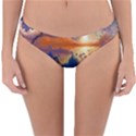 Digital Art Fantasy Impressionism Painting Ship Boat Psychedelic Peacock Mushroom Flamingos Hipwreck Reversible Hipster Bikini Bottoms View1