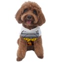 Unidentified Flying Object Ufo Under The Pyramid Dog Sweater View1
