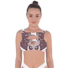 Owl Bird Feathers Bandaged Up Bikini Top by Sarkoni