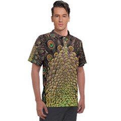 Peacock Feathers Wheel Plumage Men s Polo T-shirt by Ket1n9