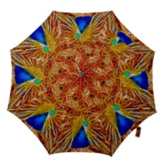 Fractal Peacock Art Hook Handle Umbrellas (medium) by Ket1n9