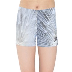 White Peacock Bird Kids  Sports Shorts by Ndabl3x