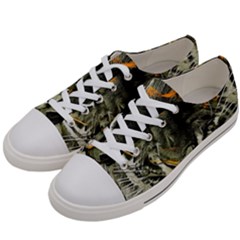 Angry Tiger Animal Broken Glasses Men s Low Top Canvas Sneakers by Cemarart