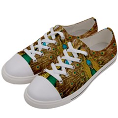 Peacock Feather Bird Peafowl Men s Low Top Canvas Sneakers by Cemarart
