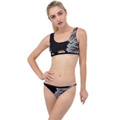 Math Formula The Little Details Bikini Set by Bedest