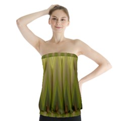 Zig Zag Chevron Classic Pattern Strapless Top by Apen